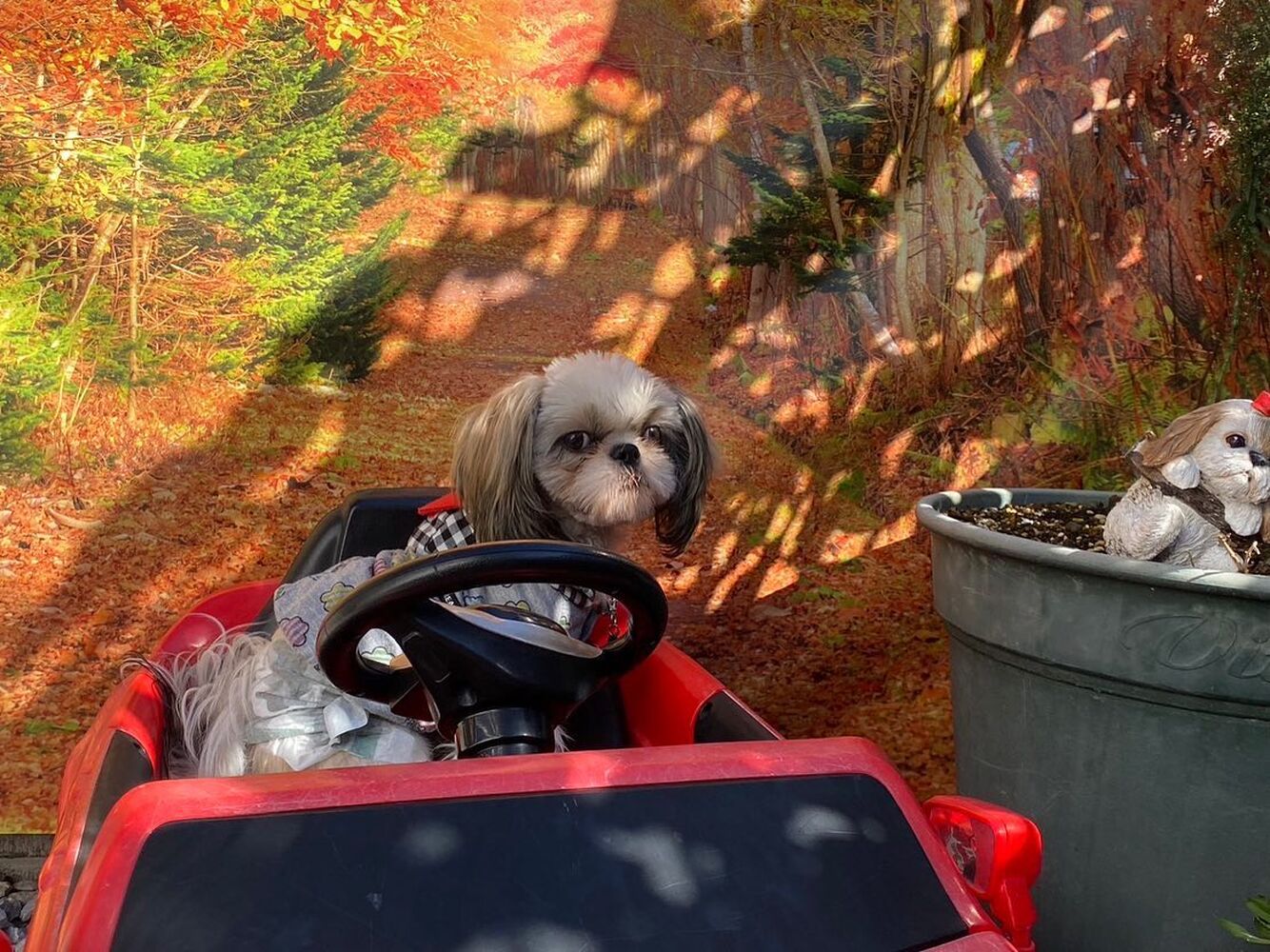 画像25917