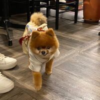 画像25965