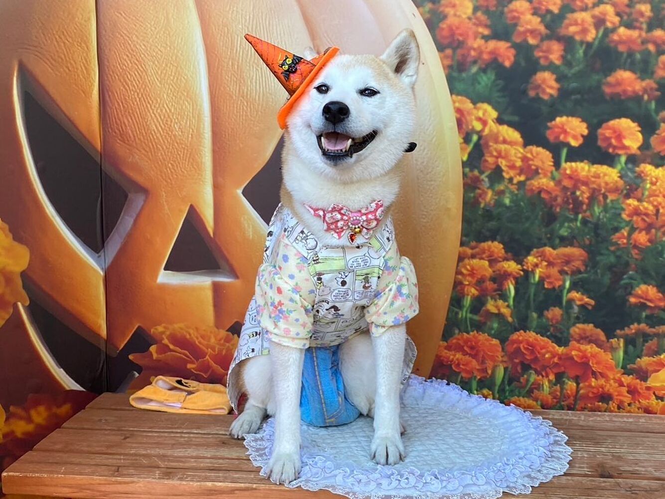 画像25995