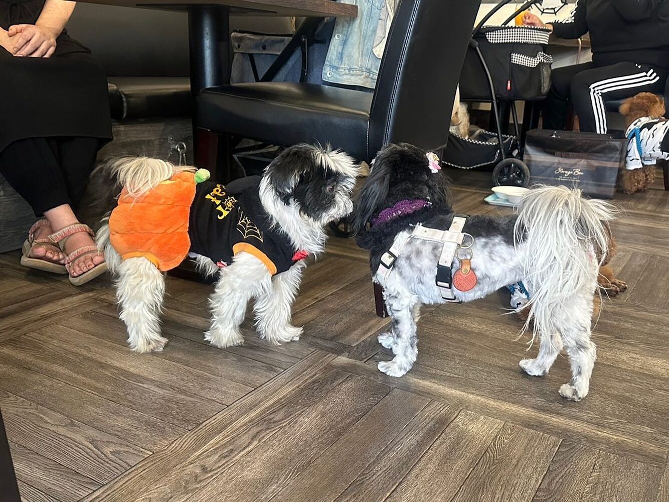 画像26170