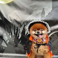 画像26341