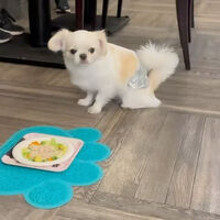 画像26464