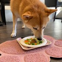 画像26664