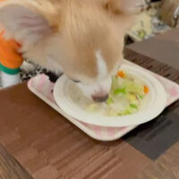 画像26898