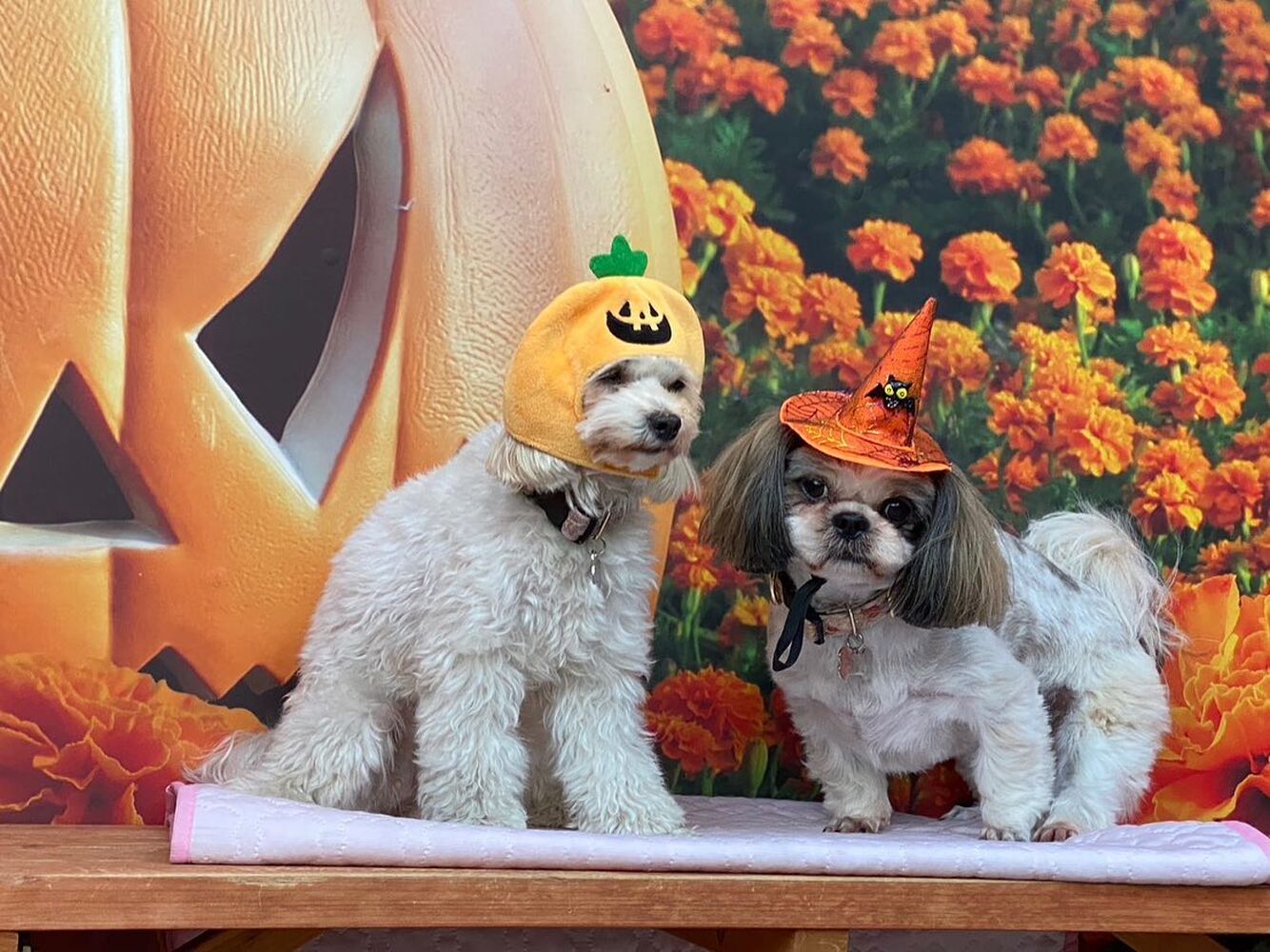 画像27092