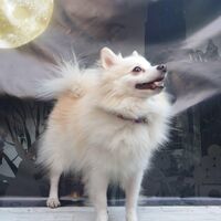 画像27114