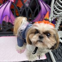 画像27122