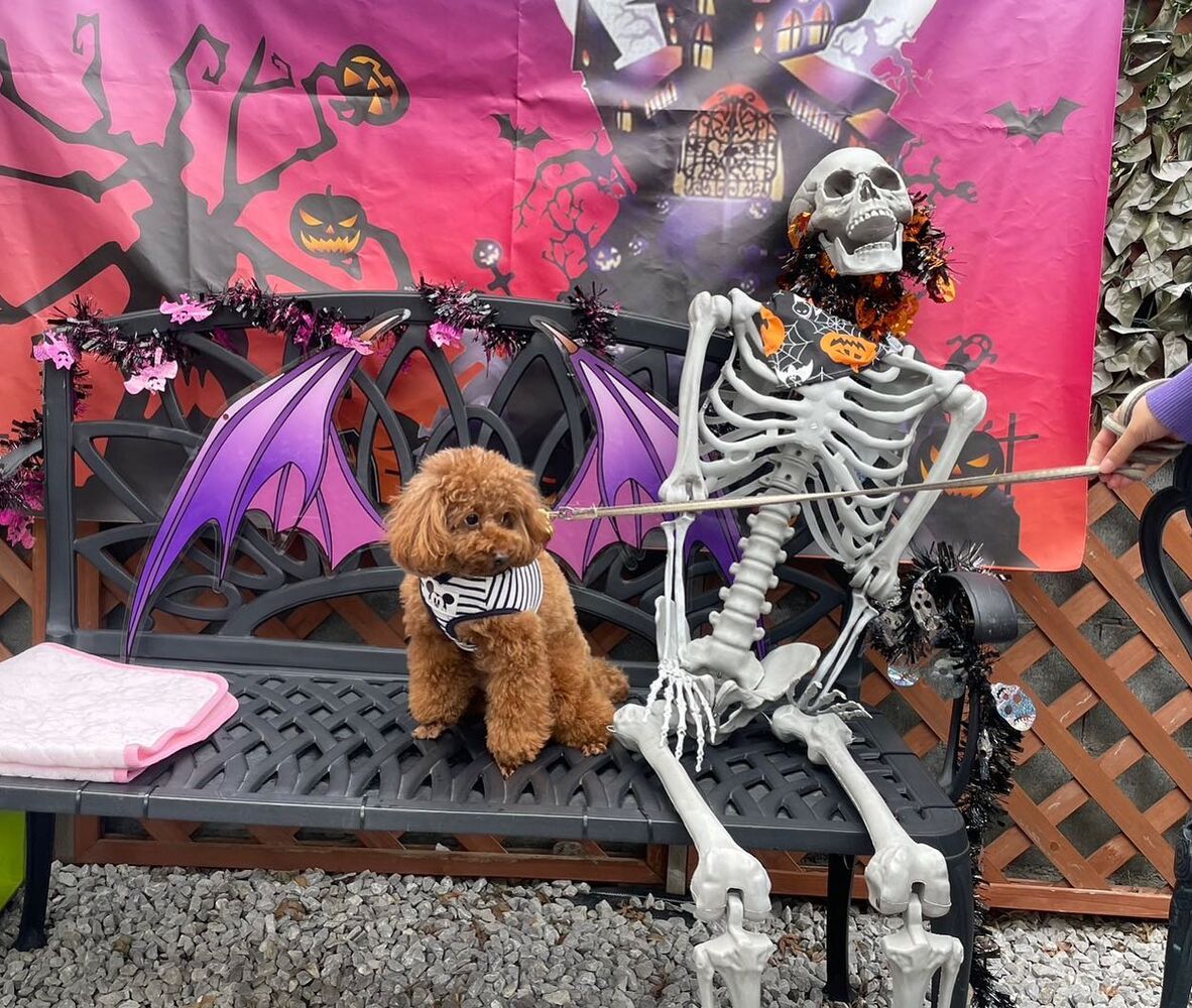 画像27163