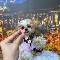 画像27370