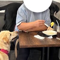 画像27467