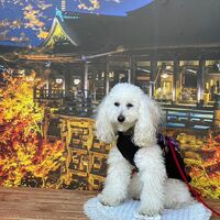 画像27576