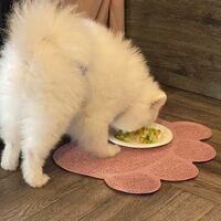 画像27594