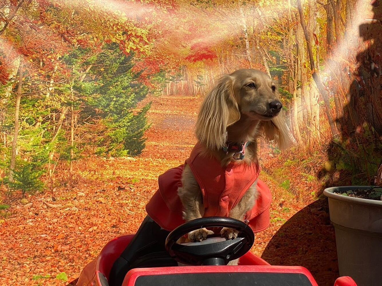 画像27669