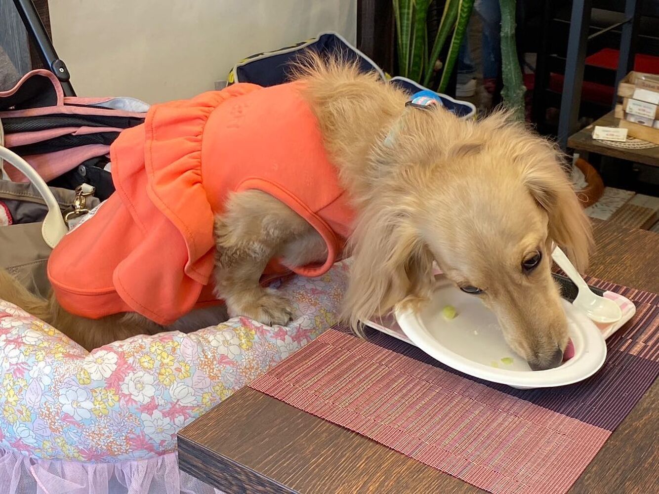 画像27671