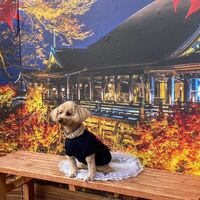 画像27697