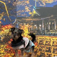 画像27712