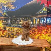 画像27716