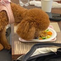 画像27741