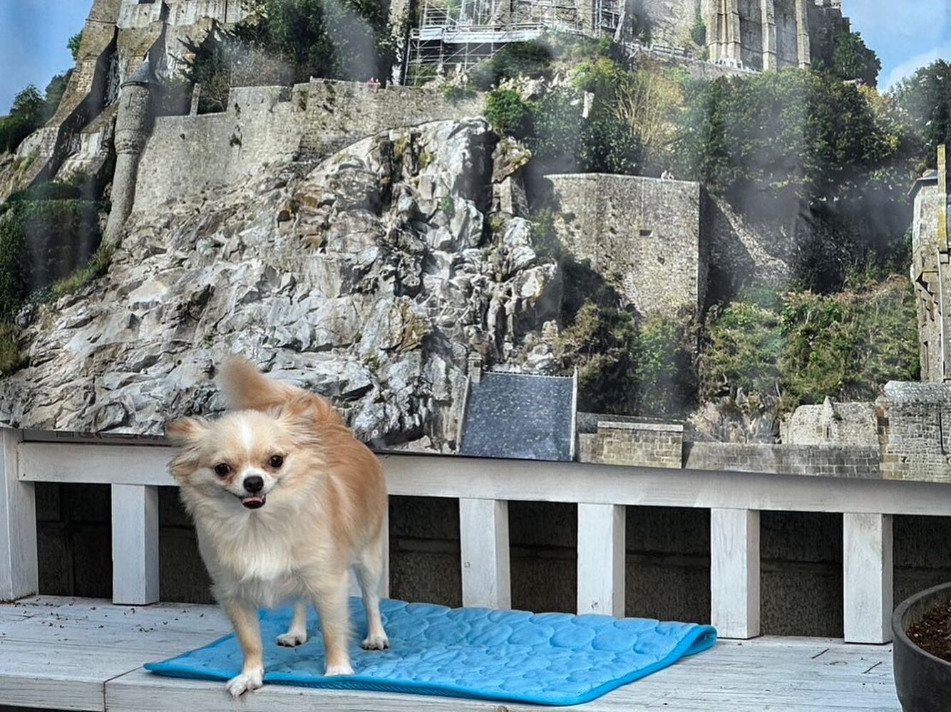 画像27754
