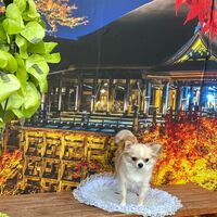 画像27760