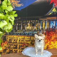 画像27761