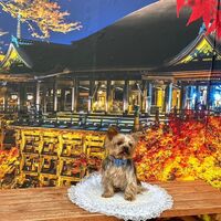 画像27766