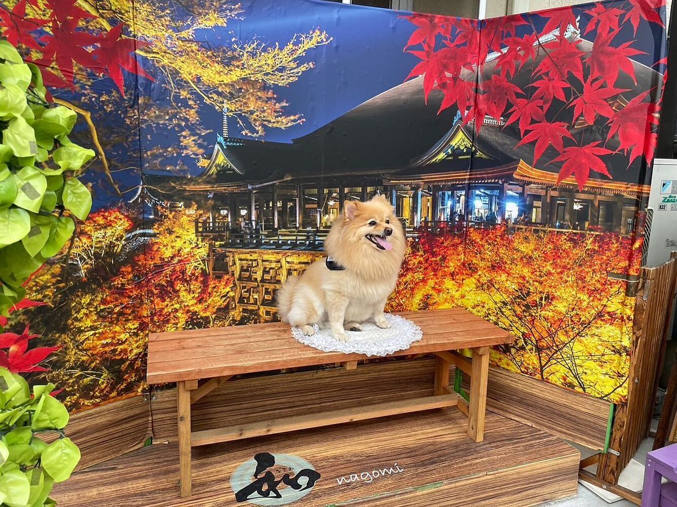 画像27786