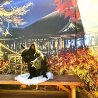 画像27809