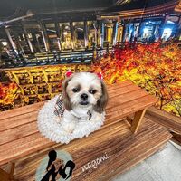 画像27821