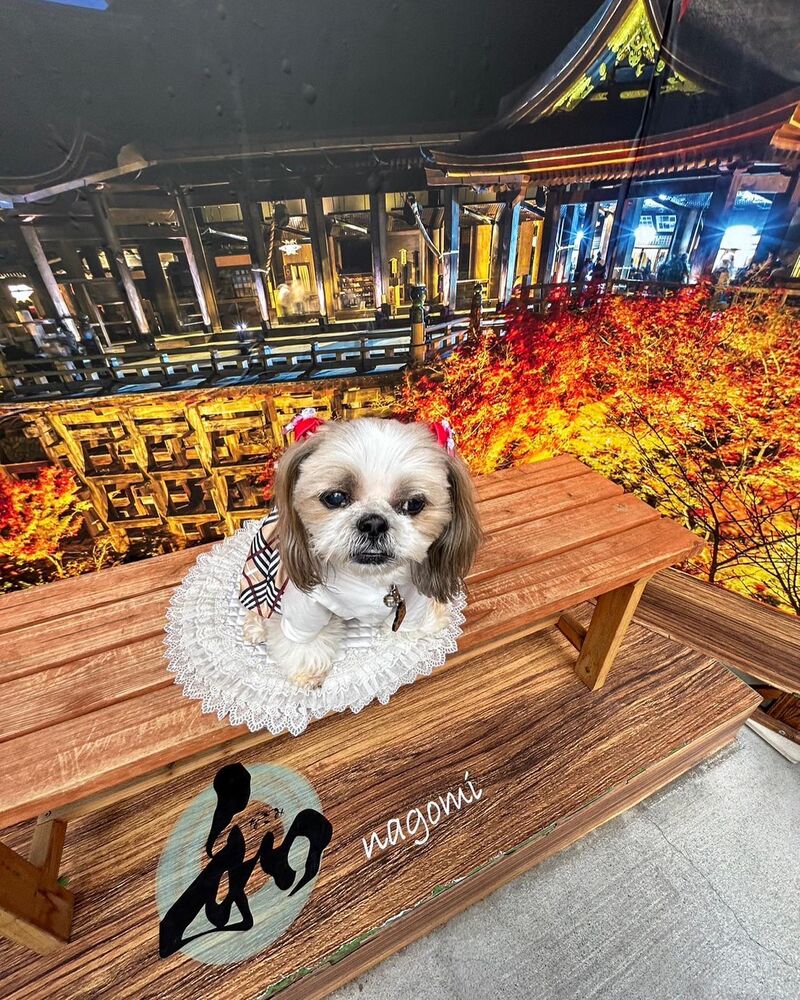 画像27821
