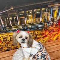 画像27822