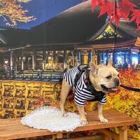 画像27963