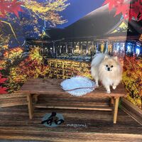 画像28060