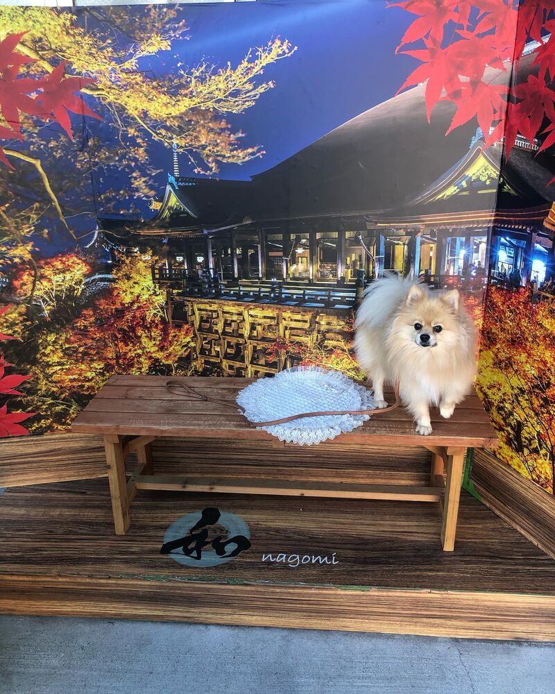 画像28060