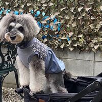画像28118