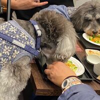 画像28120