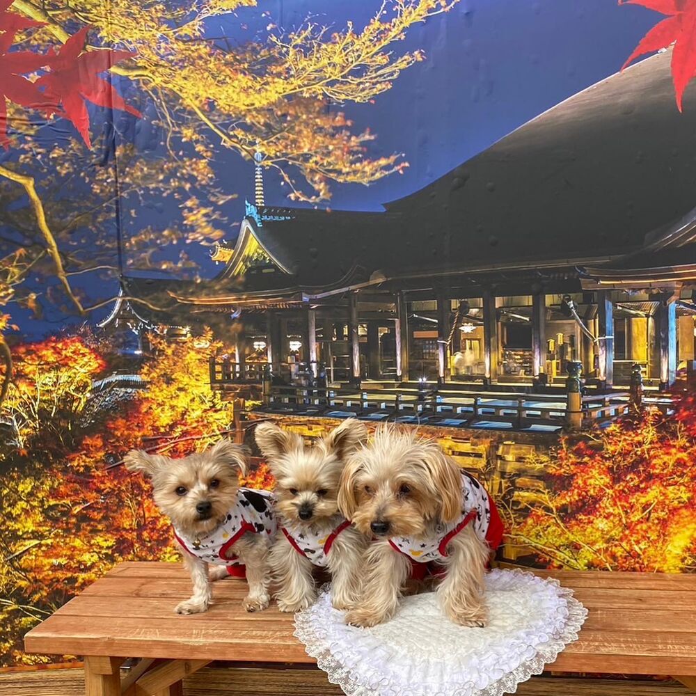 画像28162