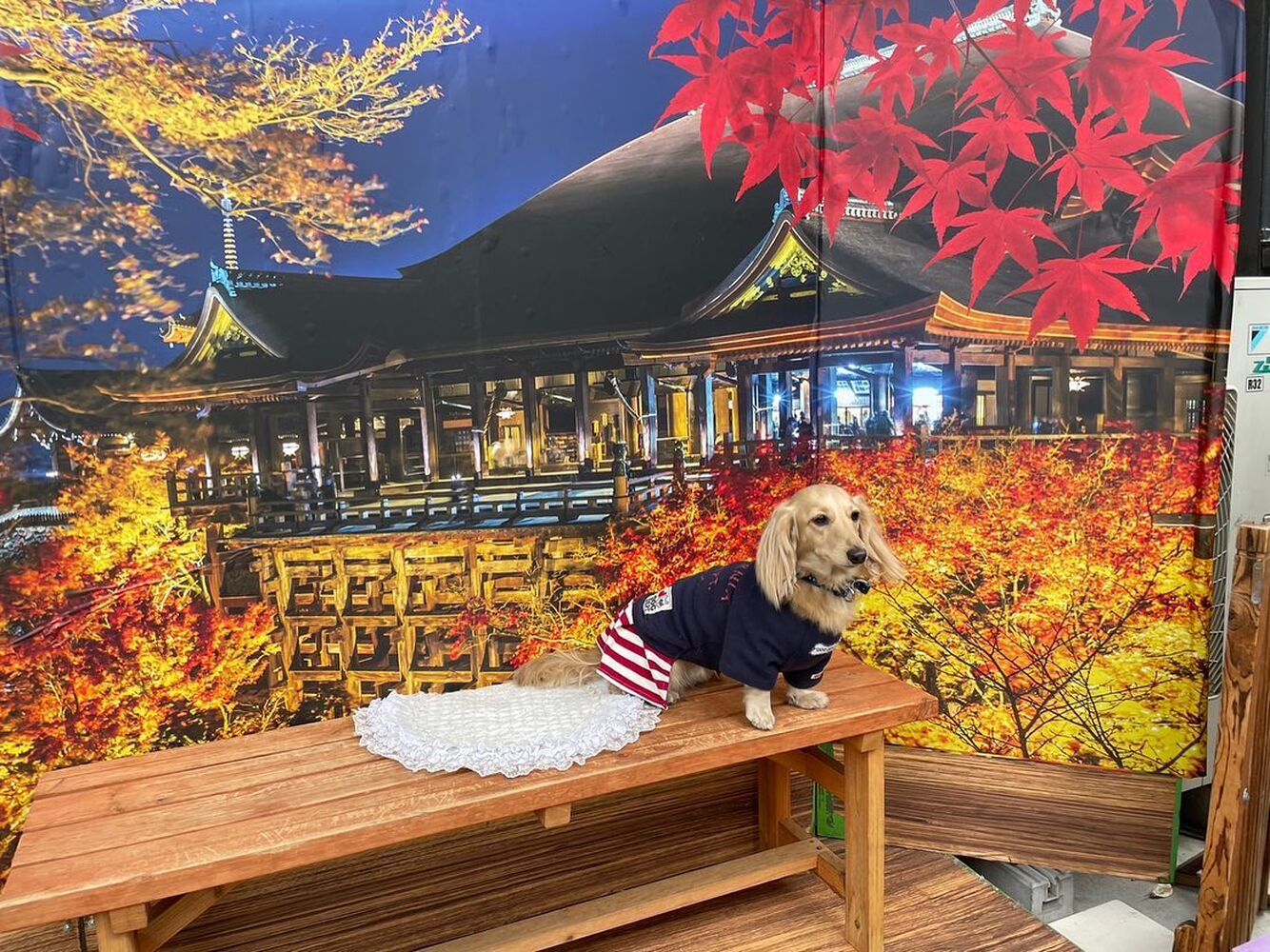 画像28212