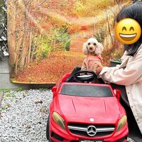 画像28228