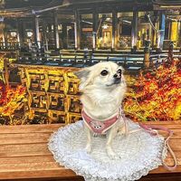 画像28236