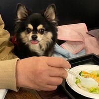 画像28248