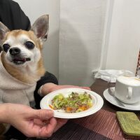 画像28274