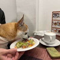 画像28275