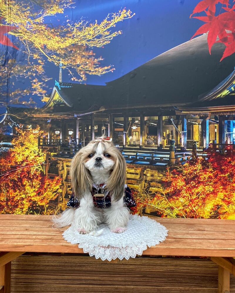 画像28289