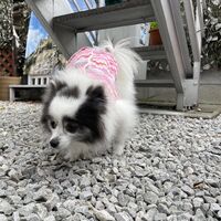 画像28300