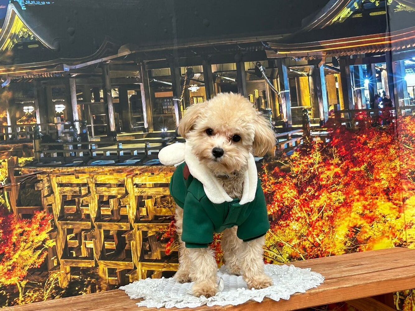 画像28340