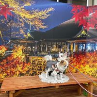 画像28351