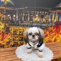 画像28377
