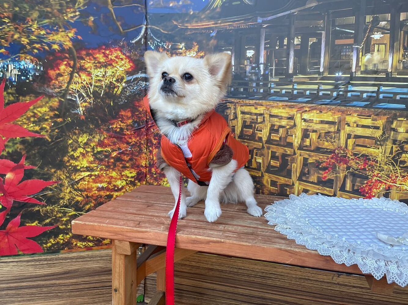 画像28391