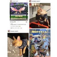 画像28411